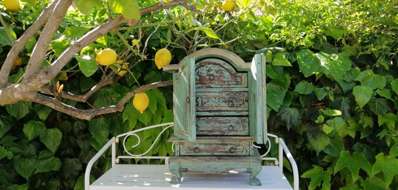 La Porta Sulla Costa Bed & Breakfast ซานปันตาเลโอ ภายนอก รูปภาพ