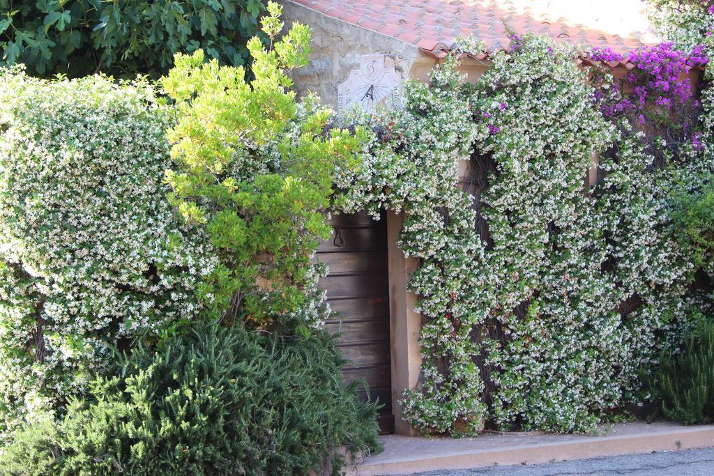 La Porta Sulla Costa Bed & Breakfast ซานปันตาเลโอ ภายนอก รูปภาพ