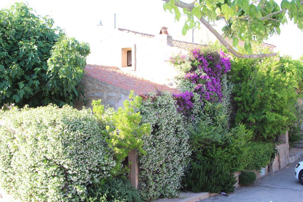 La Porta Sulla Costa Bed & Breakfast ซานปันตาเลโอ ภายนอก รูปภาพ