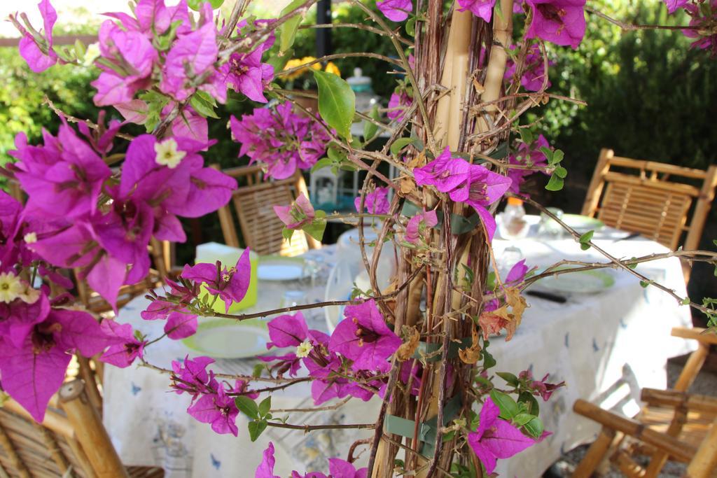 La Porta Sulla Costa Bed & Breakfast ซานปันตาเลโอ ภายนอก รูปภาพ